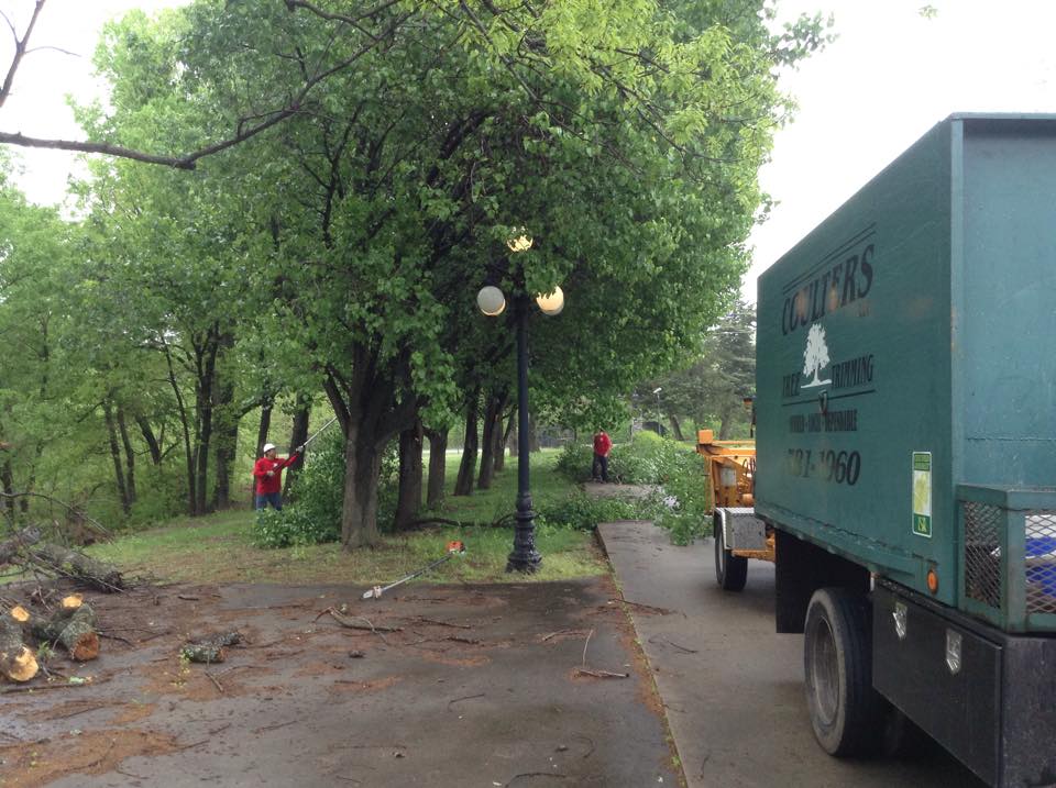 Tree Services in Broken Arrow, OK Tree Services in Broken Arrow, OK